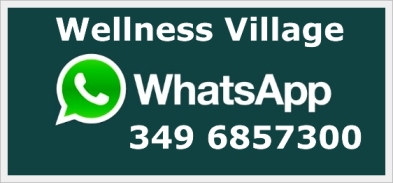 whatsappwellness2393x183